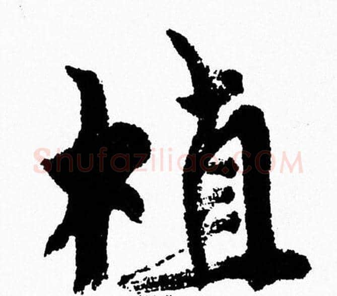 植字周慧珺毛笔行书书法写法,摘自周慧珺毛笔行书书法作品