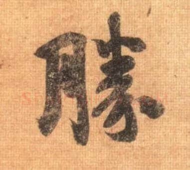 勝毛笔行书写法,摘自唐摹本王羲之姨母帖