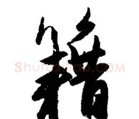 籍字赵孟頫毛笔行书写法,摘自赵孟頫毛笔行书作品