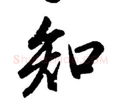 知字康熙毛笔行书书法写法,摘自千字文