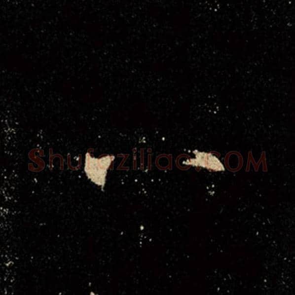 王羲之毛笔行书八字的写法,摘自王羲之书法作品怀仁集王羲之圣教序