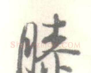 膝字启功毛笔行书书法写法,摘自临苏轼手札
