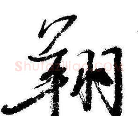 翔字启功毛笔行书书法写法,摘自临苏轼诗文帖