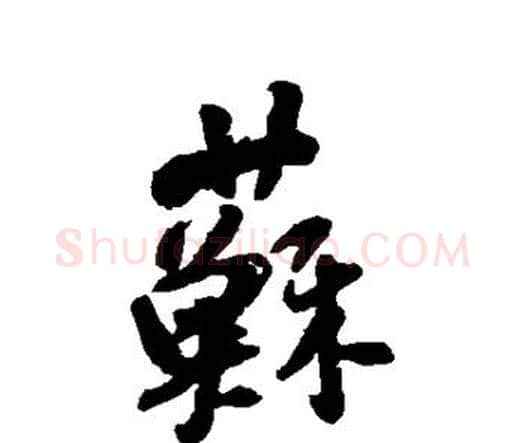 苏字王铎毛笔行书书法写法,摘自王铎毛笔行书书法作品