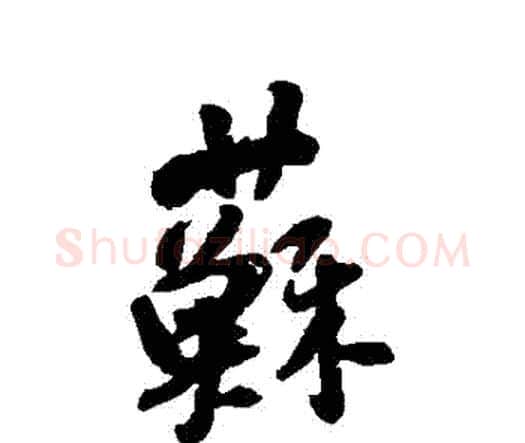 蘇字王铎毛笔行书书法写法,摘自王铎毛笔行书书法作品