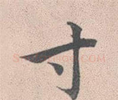 寸字赵孟頫毛笔行书写法,摘自灵隐大川济禅师塔铭