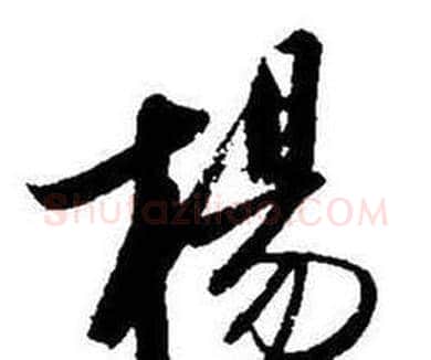 楊字启功毛笔行书书法写法,摘自题画诗