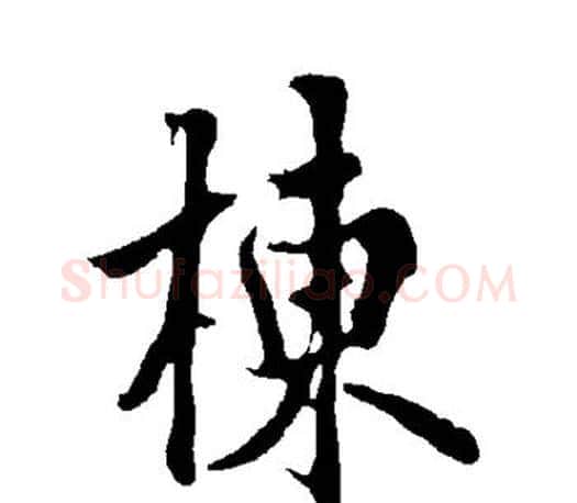 栋字欧阳询毛笔行书写法,摘自欧阳询毛笔行书作品