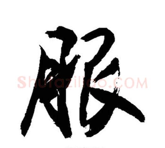 服字敬世江毛笔行书写法,摘自敬世江毛笔行书作品