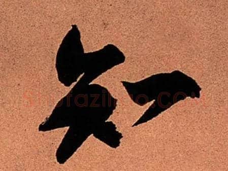 知毛笔行书写法,摘自宋苏轼寒食帖