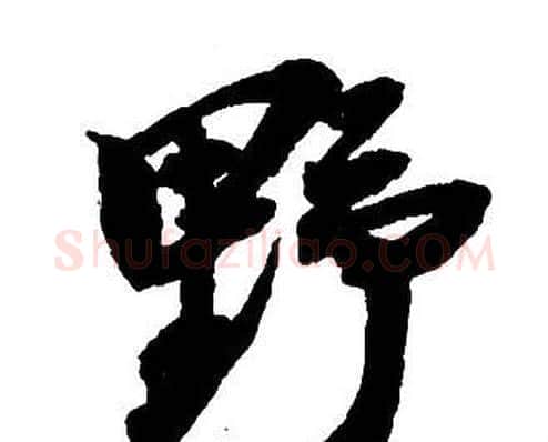 野字王铎毛笔行书书法写法,摘自集字千字文