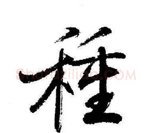 種字启功毛笔行书书法写法,摘自启功毛笔行书书法作品