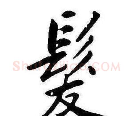 髮字康熙毛笔行书书法写法,摘自千字文