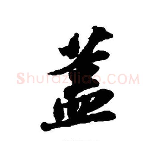 盖字苏轼毛笔行书书法写法,摘自苏轼毛笔行书书法作品