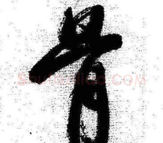 骨字启功毛笔行书书法写法,摘自临苏轼诗文帖