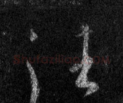 往字王羲之毛笔行书写法,摘自怀仁集圣教序