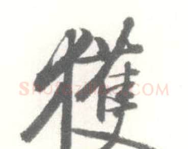 獲字启功毛笔行书书法写法,摘自临苏轼手札