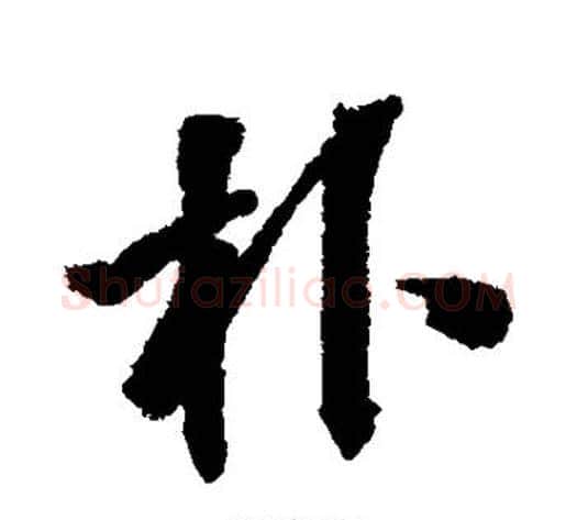 朴字张照毛笔行书书法写法,摘自张照毛笔行书书法作品