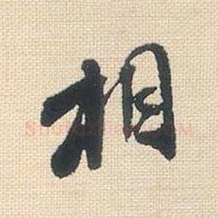 相毛笔行书的写法_米芾书法行书相单字帖图片_摘自行书三帖卷第044字