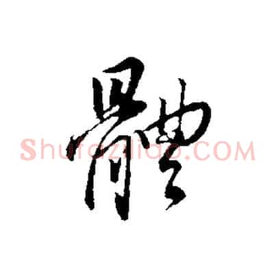 體