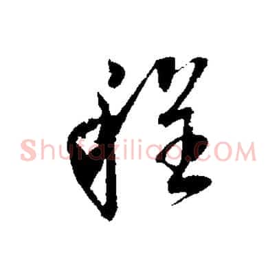 程