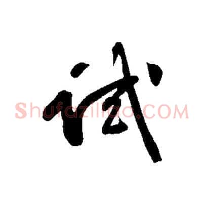 試