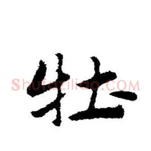 牡