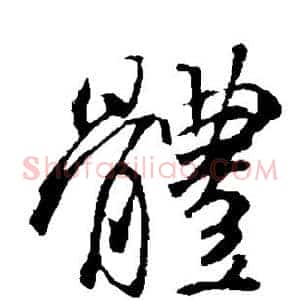 体