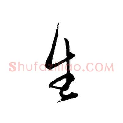 生