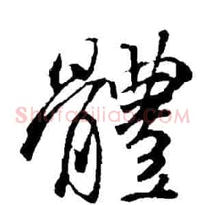 體