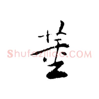 董