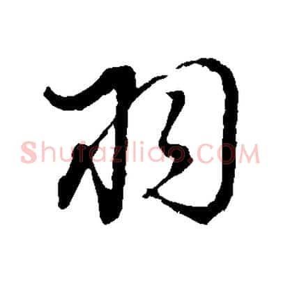 羽