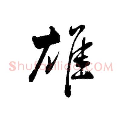 雄