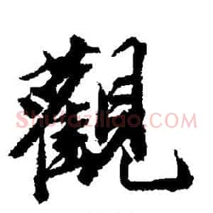 观