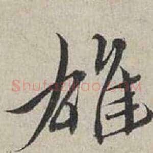 雄
