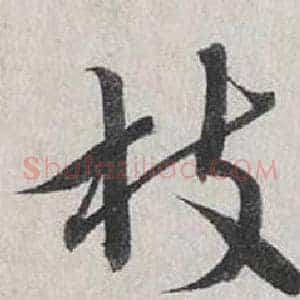 枝