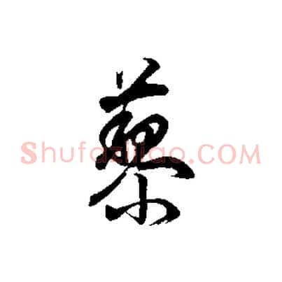 藜