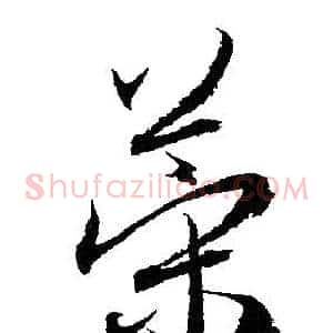 策