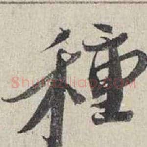 種