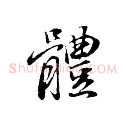 體