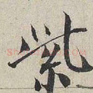 紫