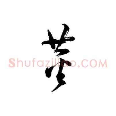 董