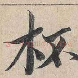杯