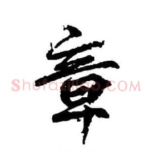 章