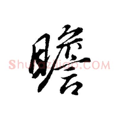 瞻