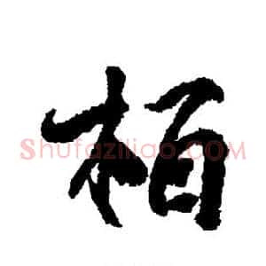 柏