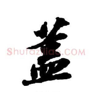 盖