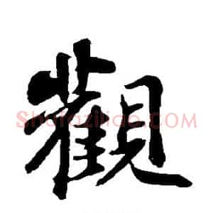 观
