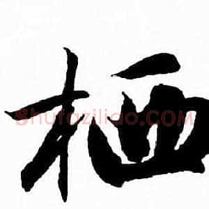 栖