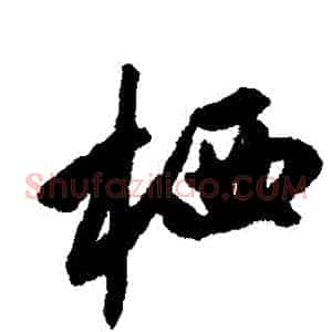 棲